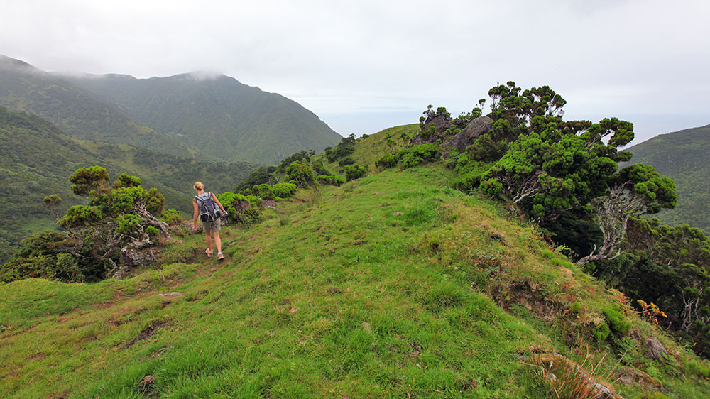 Blauwasser_Azoren_Sao_Jorge_wandern_pr1-2