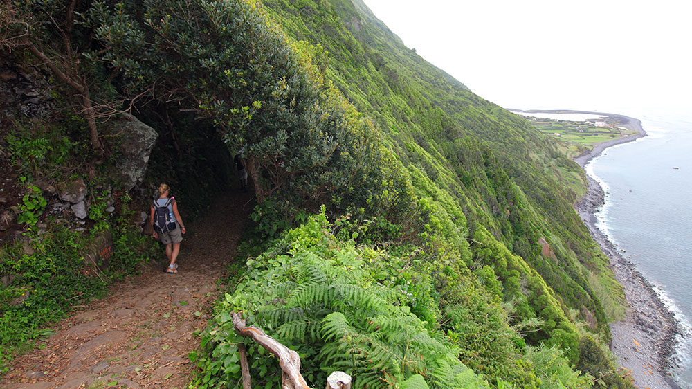 Blauwasser_Azoren_Sao_Jorge_wandern_pr1