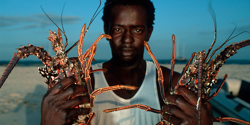Blauwasser_Grenadinen_RI_Tobago_Cays_Lobster