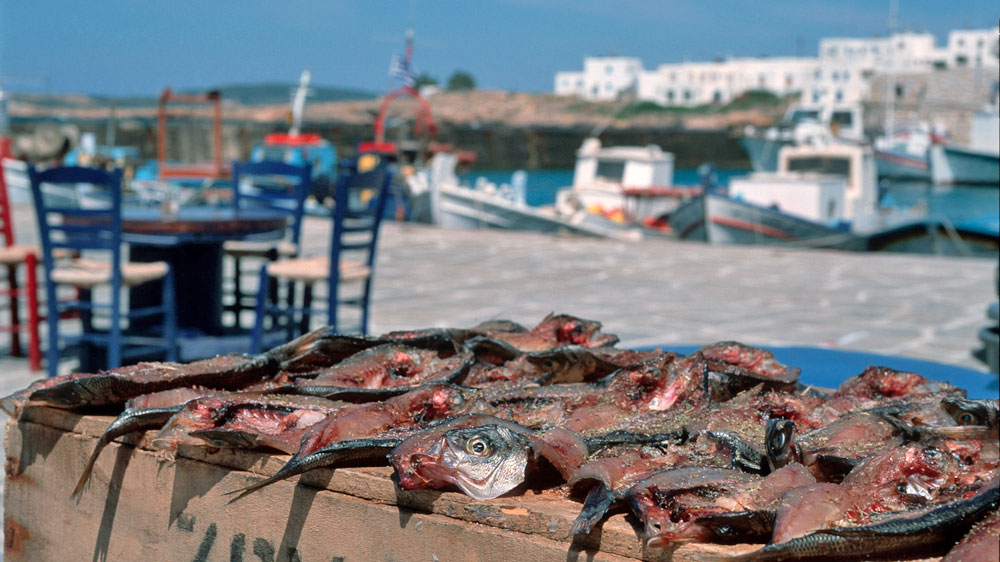 Blauwasser_Griechenland_Kykladen_Hafen