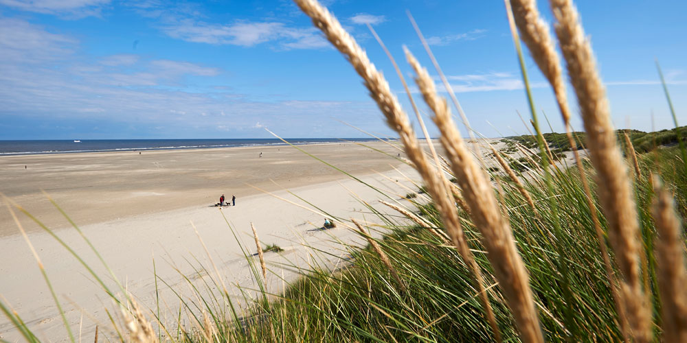 Blauwasser_Holland_Rund_Terschelling_Nordseestrand