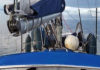 Zerdrückt im Treibeis – Segelyacht ANAHITA sinkt in der Nordwestpassage