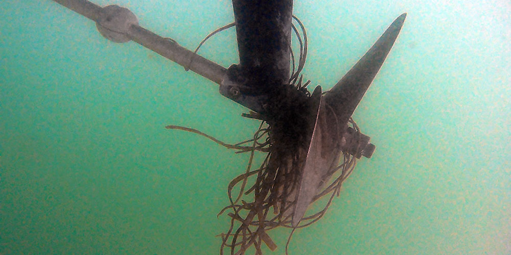 Propeller_dreck_blauwasser_algen