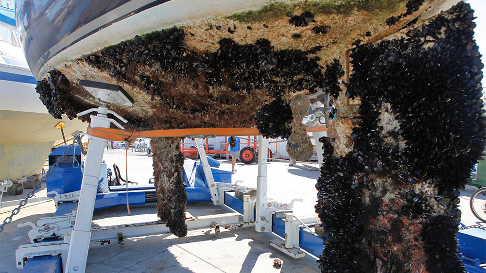 blauwasser_antifouling_auftragen_bewuchs