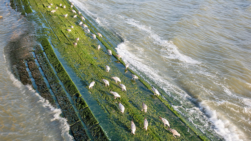 blauwasser_belgien_hafen_nieuwpoort_strand