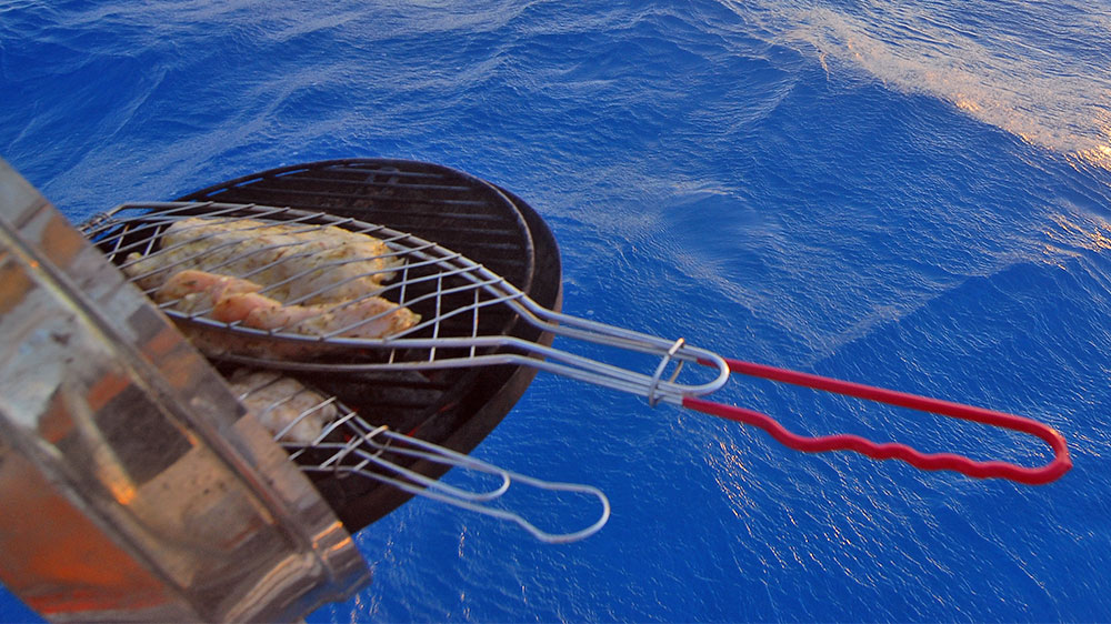 blauwasser_buch_fish_basics_grill