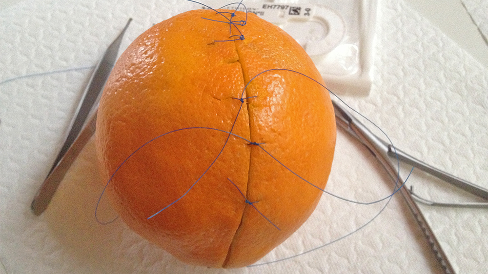 blauwasser_buch_warum_wir_immer_sauerkraut_an_bord_haben_orange
