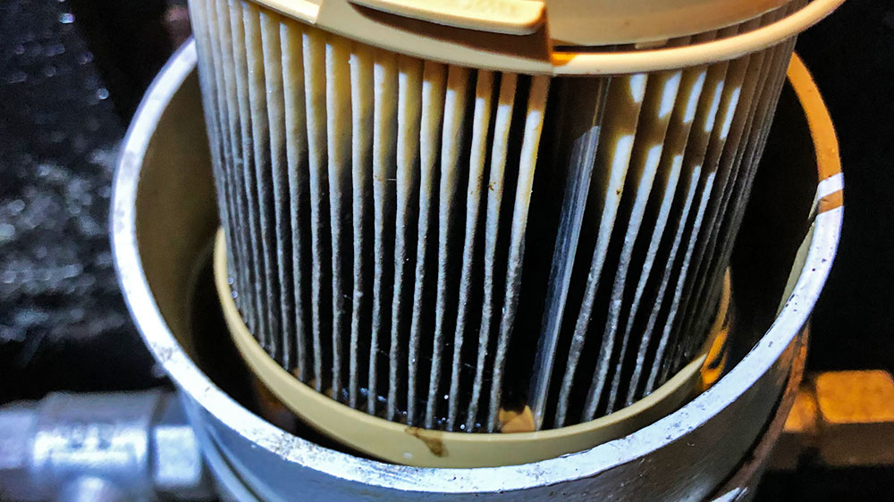 blauwasser_dieselpest_motor_filter_dreckig