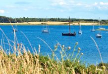 Segeln Dänemark: 12 Liegeplatz-Geheimtipps rund um Fünen