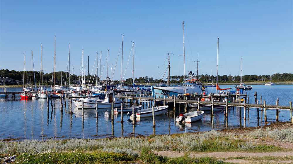 blauwasser_fuenen_12_tipps_korshavn_fischer