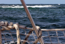 Erfahrungsbericht: Grundberührung mit Wassereinbruch in den schwedischen Schären