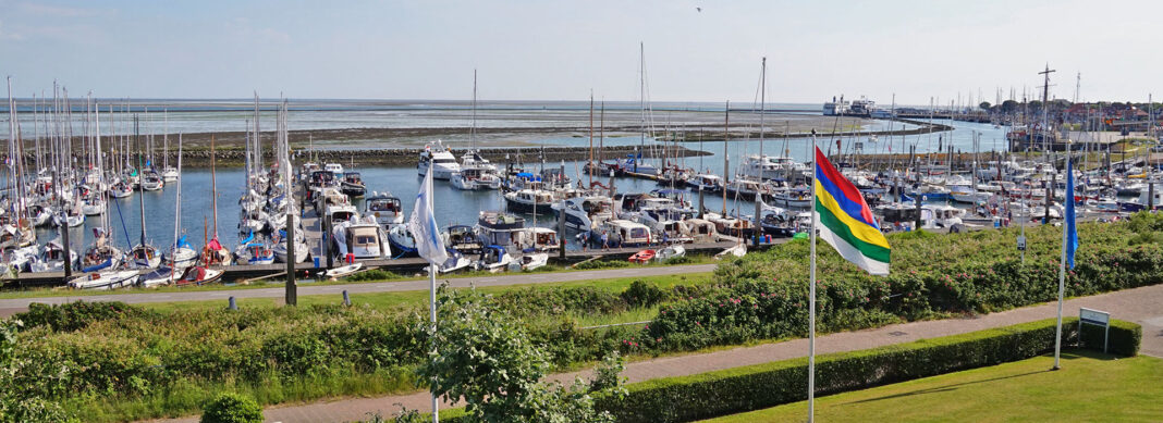 blauwasser_hafen_niederlande_terschelling_header