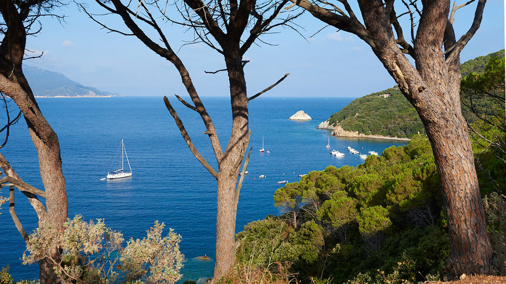 blauwasser_italien_revierinformation_elba_ankerbucht