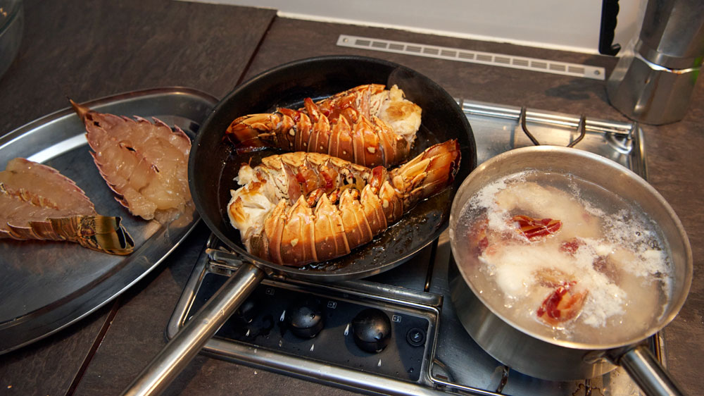 blauwasser_kuba_cayo_cantiles_lobster