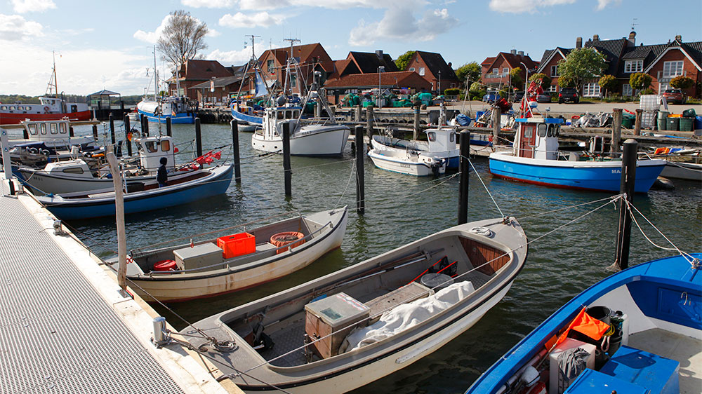 blauwasser_liegeplatz_hafen_maasholm_fischer