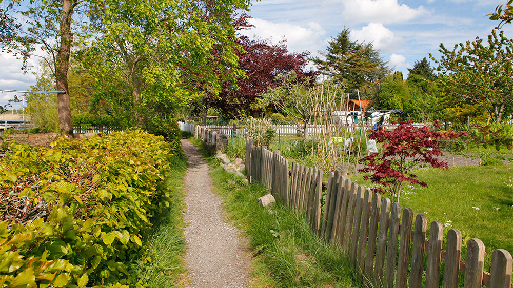 blauwasser_liegeplatz_hafen_schlei_arnis_rundweg_1