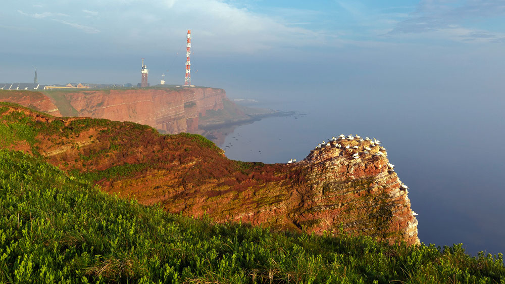 blauwasser_liegeplatz_helgoland_marina_nebel