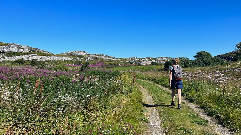 blauwasser_liegeplatz_norwegen_traena_wanderwege