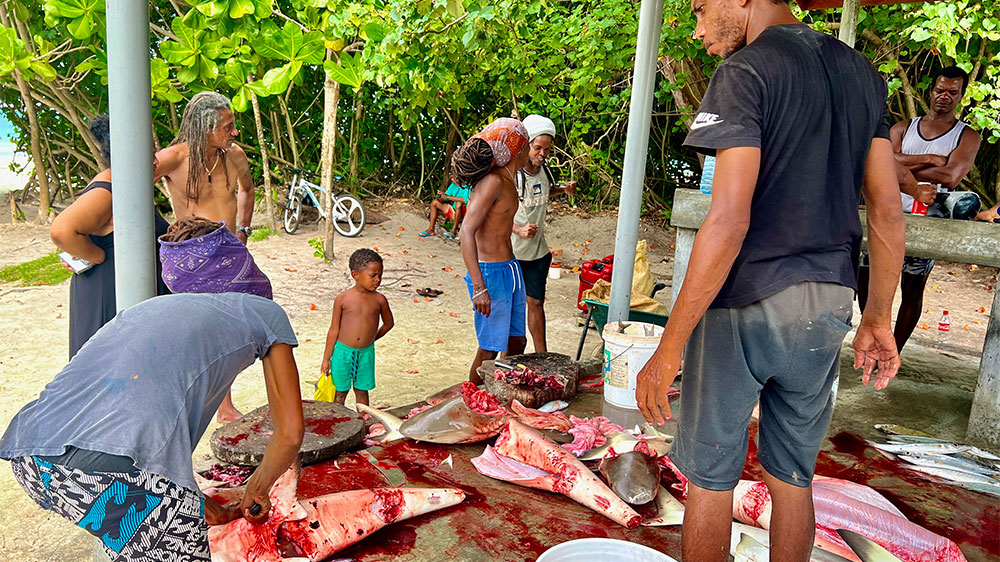 blauwasser_liegeplatz_seychellen_anse_volbert_markt