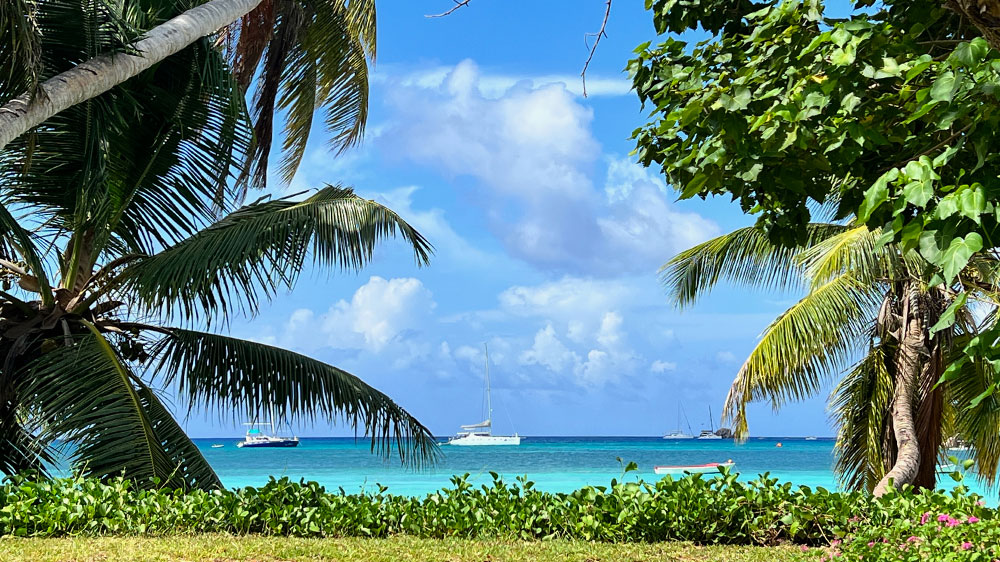 blauwasser_liegeplatz_seychellen_anse_volbert_palmen