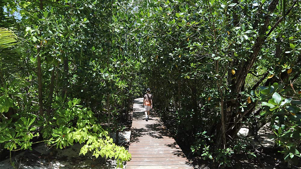 blauwasser_liegeplatz_seychellen_curieuse_bay_wandern