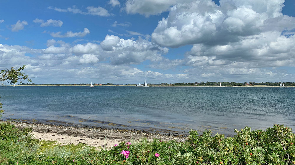 blauwasser_marina_daenemark_aarosund_weg
