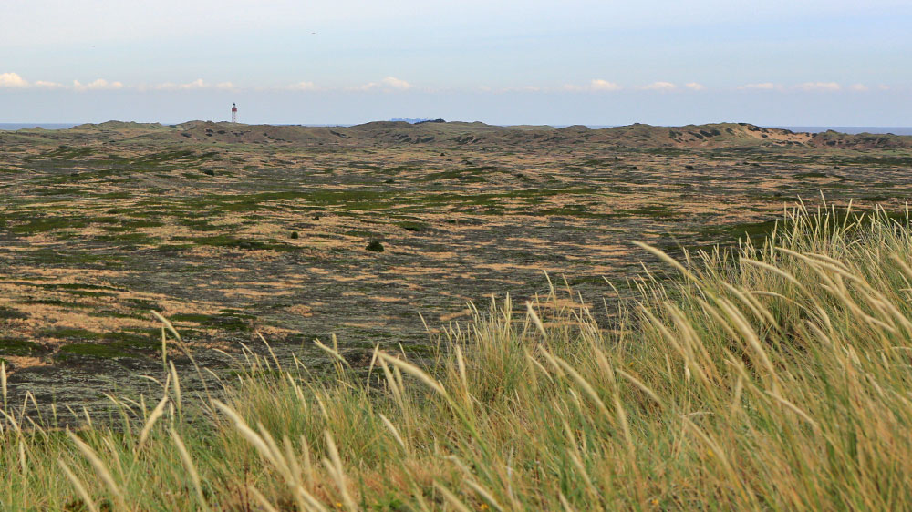 blauwasser_marina_daenemark_anholt_leuchtturm
