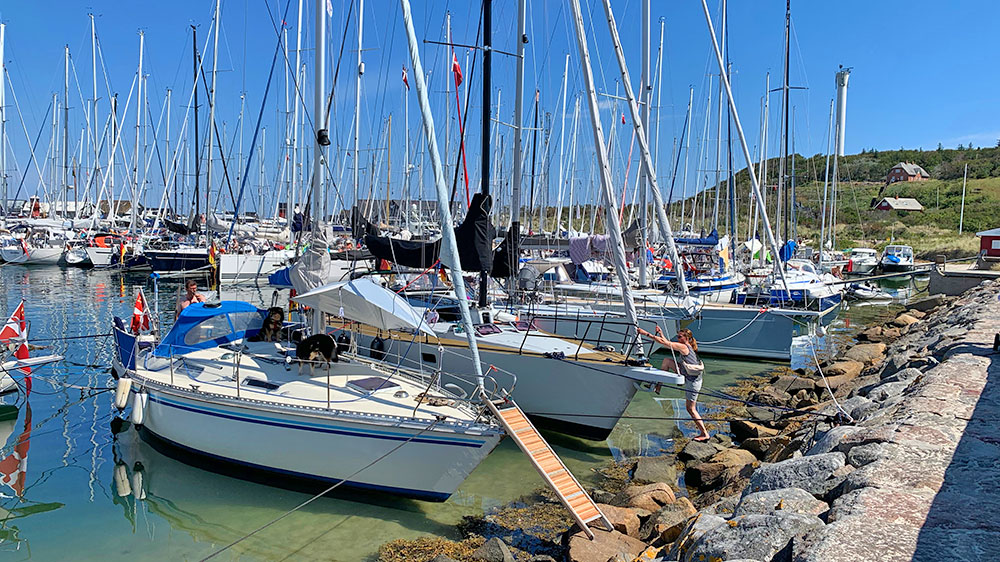 blauwasser_marina_daenemark_anholt_voll