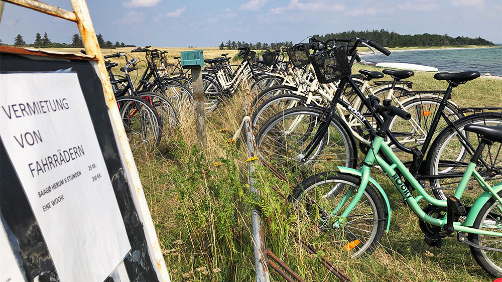 blauwasser_marina_daenemark_bago_fahrrad