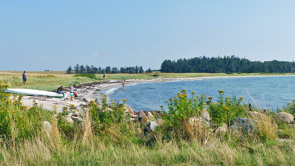blauwasser_marina_daenemark_bago_strand