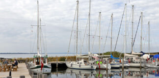 Hafen/Marina Birkholm (Dänemark)