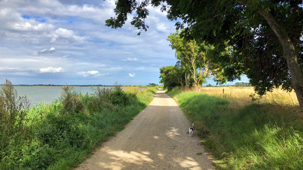 blauwasser_marina_daenemark_endelave_wandern