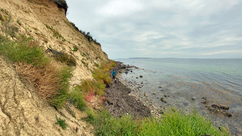 blauwasser_marina_daenemark_festland_dyreborg_wandern_1