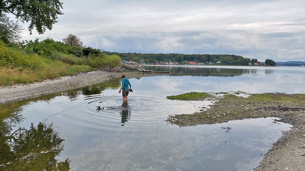 blauwasser_marina_daenemark_festland_dyreborg_wasser