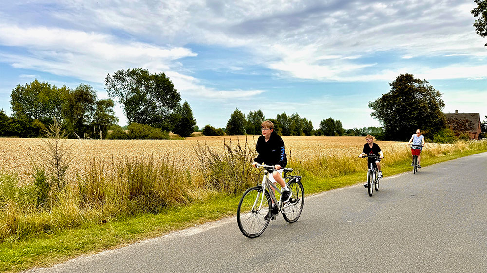 blauwasser_marina_daenemark_festland_fejoe_fahrrad