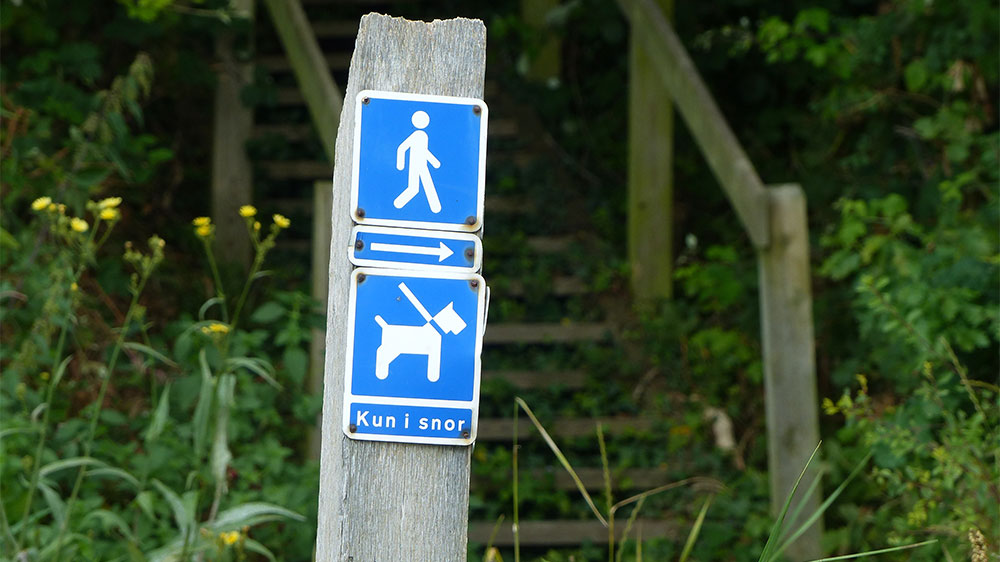blauwasser_marina_daenemark_festland_stevning_nor_wanderweg