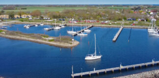 Hafen/Marina Gedser (Dänemark)
