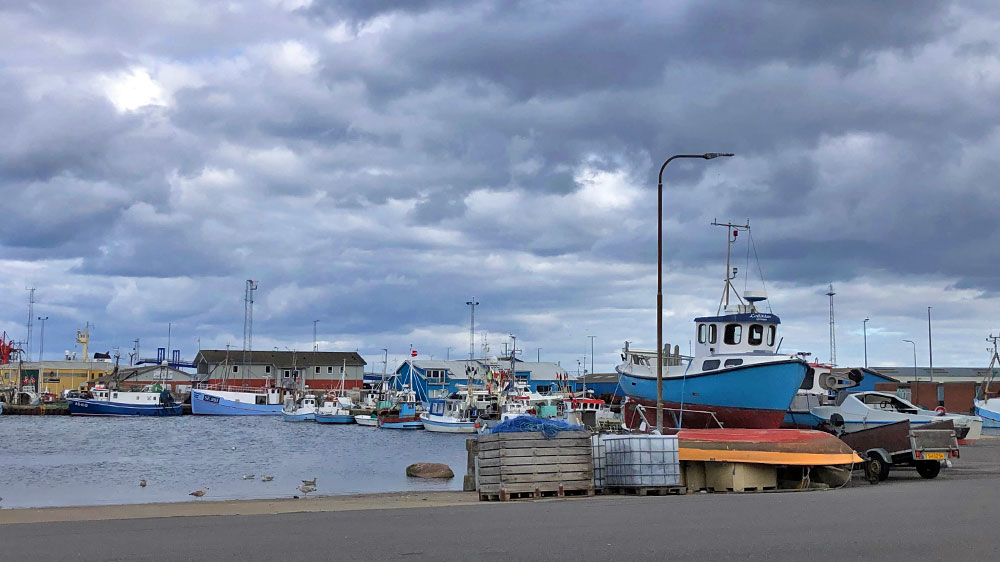 blauwasser_marina_daenemark_grenaa_fischerhafen