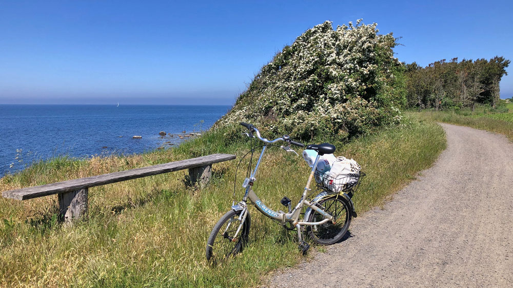 blauwasser_marina_daenemark_helligpeder_fahrrad