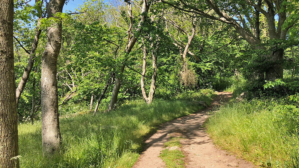 blauwasser_marina_daenemark_helligpeder_wanderweg