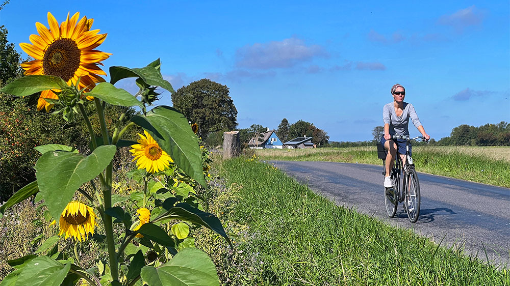 blauwasser_marina_daenemark_klintholm_fahrrad