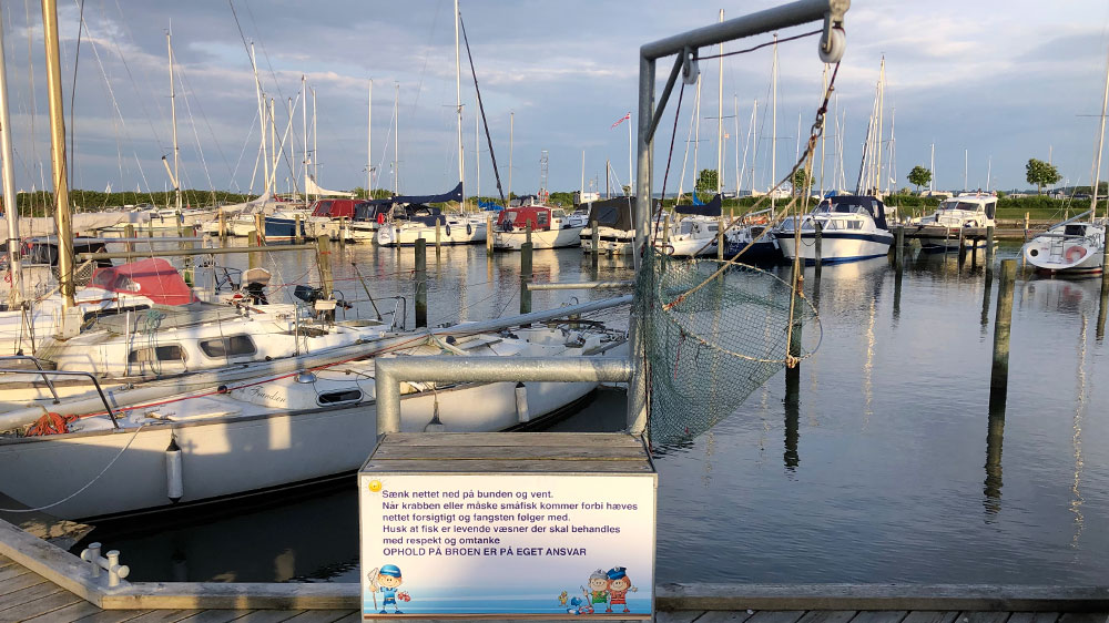 blauwasser_marina_daenemark_kragenaes_krabbe
