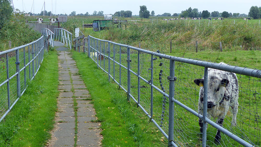blauwasser_marina_deutschland_borsfleth_zugang