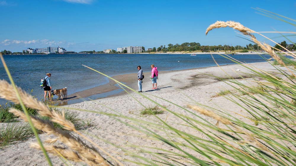 blauwasser_marina_deutschland_heiligenhafen_strand