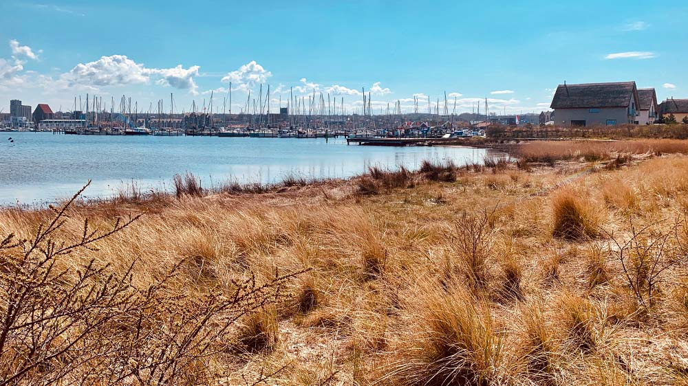 blauwasser_marina_deutschland_heiligenhafen_umgebung