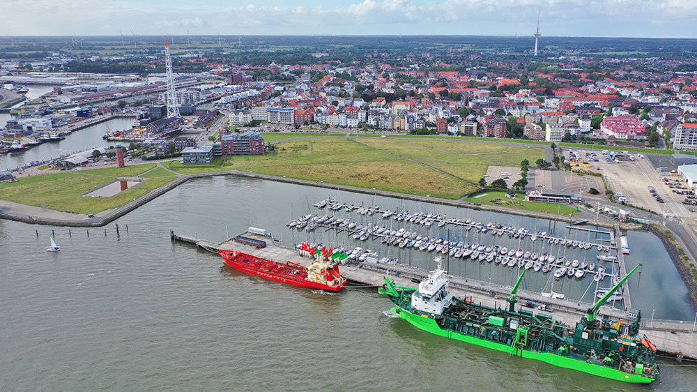 blauwasser_marina_elbe_cuxhaven_vogel