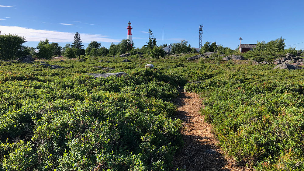 blauwasser_marina_finnland_tankar_vegetation