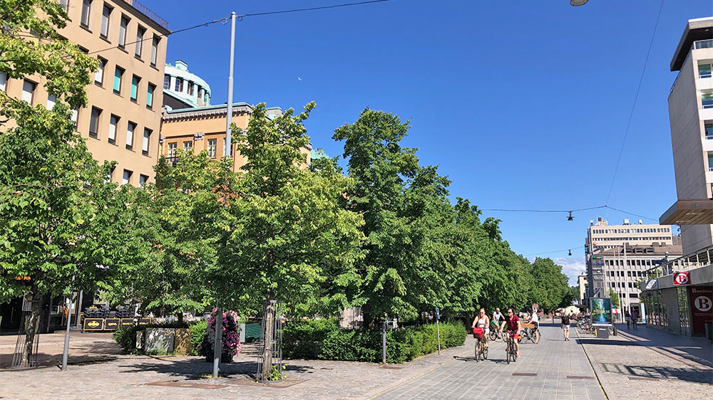blauwasser_marina_finnland_vaasa_stadt
