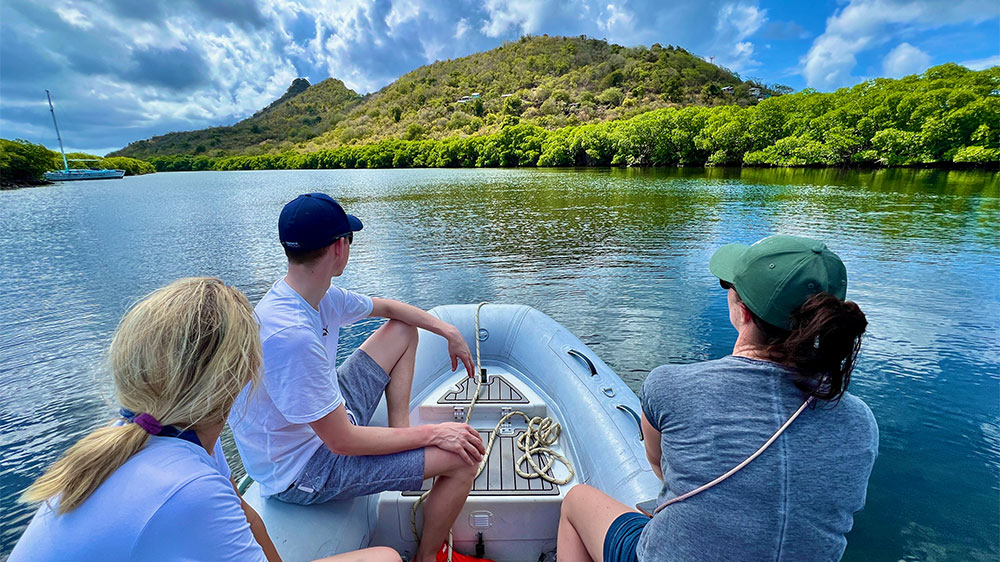 blauwasser_marina_grenada_tyrell_bay_mangroven