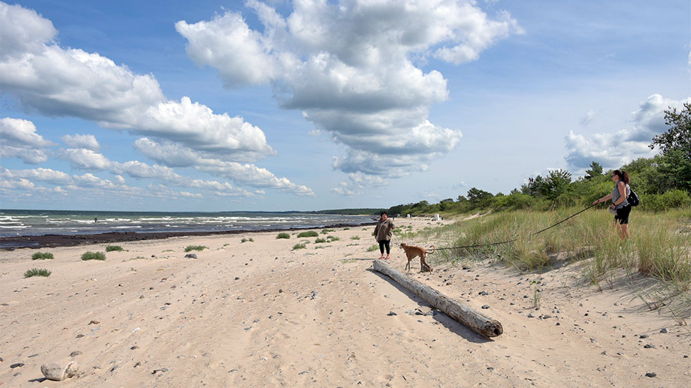 blauwasser_marina_hafen_baltikum_lettland_pavilosta_strand